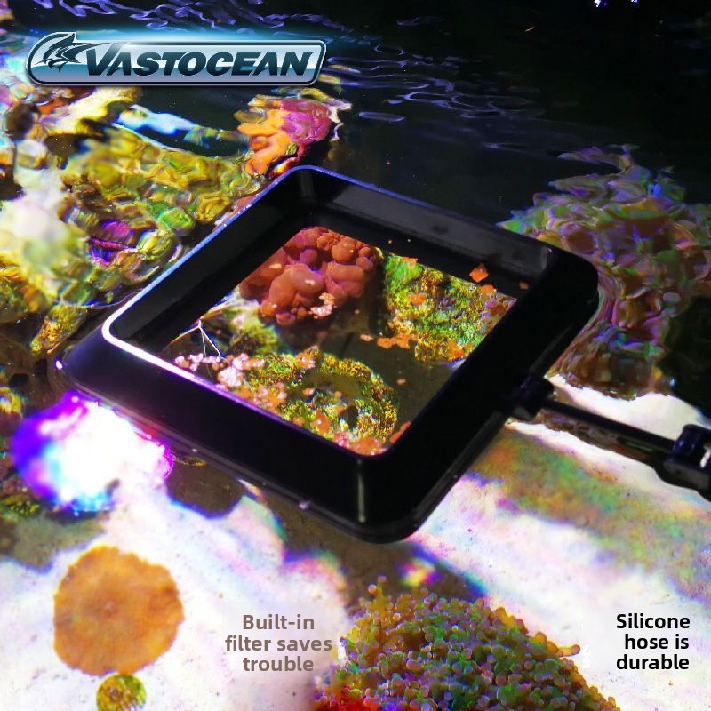VASTOCEAN Anello di Alimentazi - Seaweed Snack recensione e prezzo