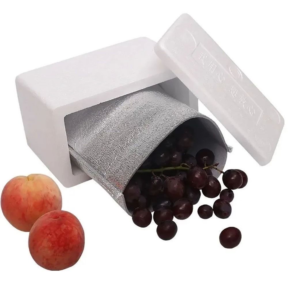 Borsa termica in foglio di all - Food Snacks Delivery recensione e prezzo