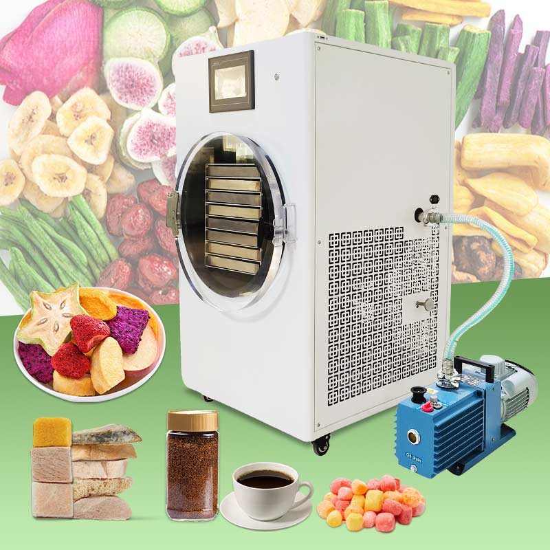 Piccolo congelamento Mini Liof - Dried Fruit recensione e prezzo