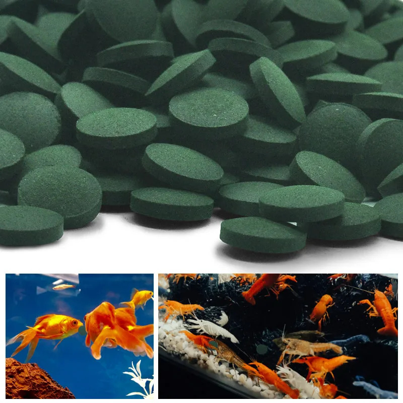 50-300 pz compresse di spiruli - Seaweed Snack recensione e prezzo