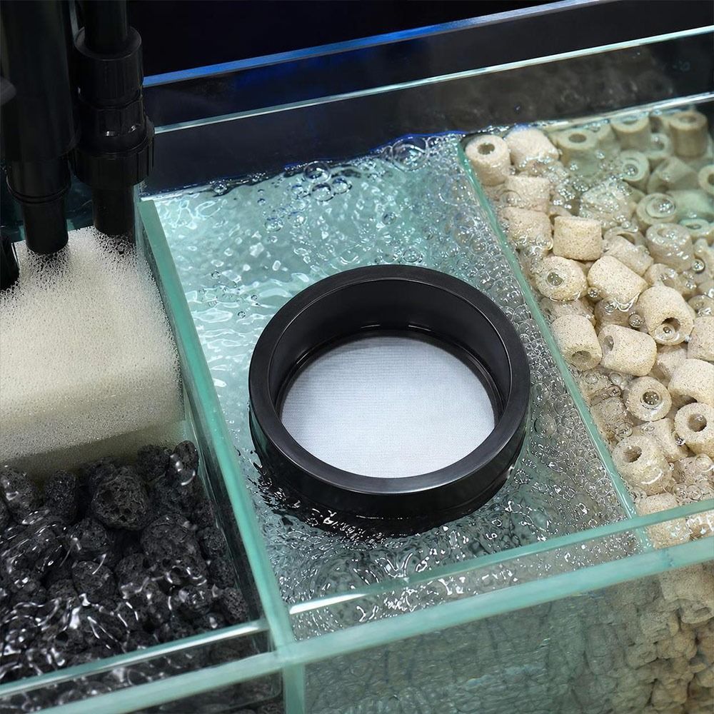 Schermo Filtro per Acquario in - Seaweed Snack recensione e prezzo