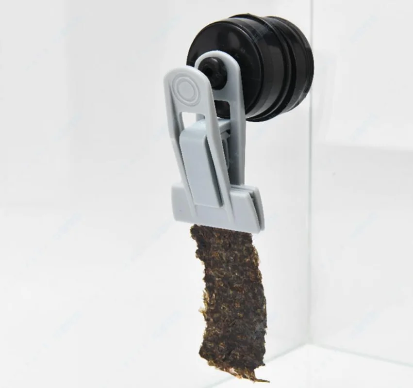 VastOcean Veggie-Mag Clip di a - Seaweed Snack recensione e prezzo
